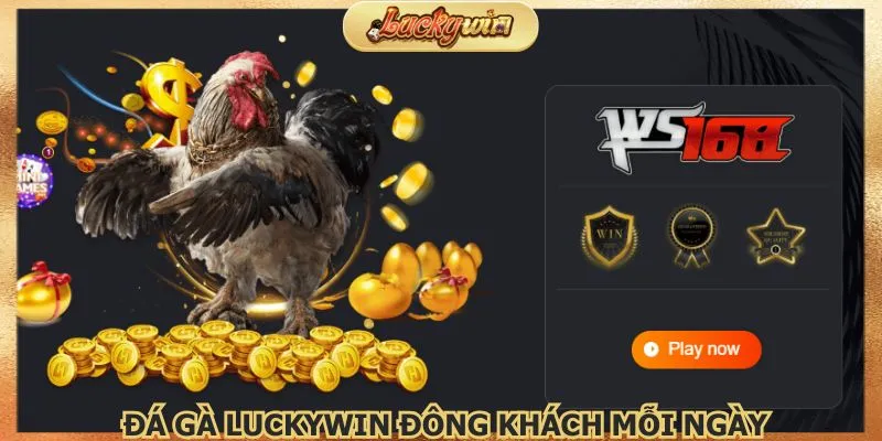 Khu vực chơi đá gà Luckywin đông khách mỗi ngày